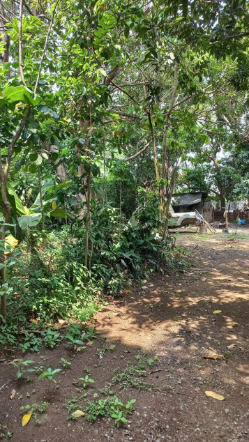 800 SQM Lot For Sale In Dasmariñas, Cavite