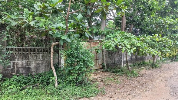 800 SQM Lot For Sale In Dasmariñas, Cavite