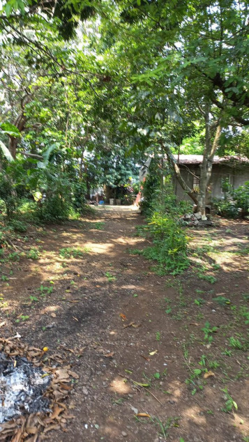 800 SQM Lot For Sale In Dasmariñas, Cavite
