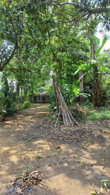 800 SQM Lot For Sale In Dasmariñas, Cavite