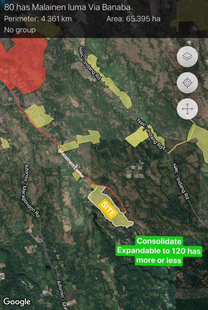 30-Hectare Land In Naic, Cavite