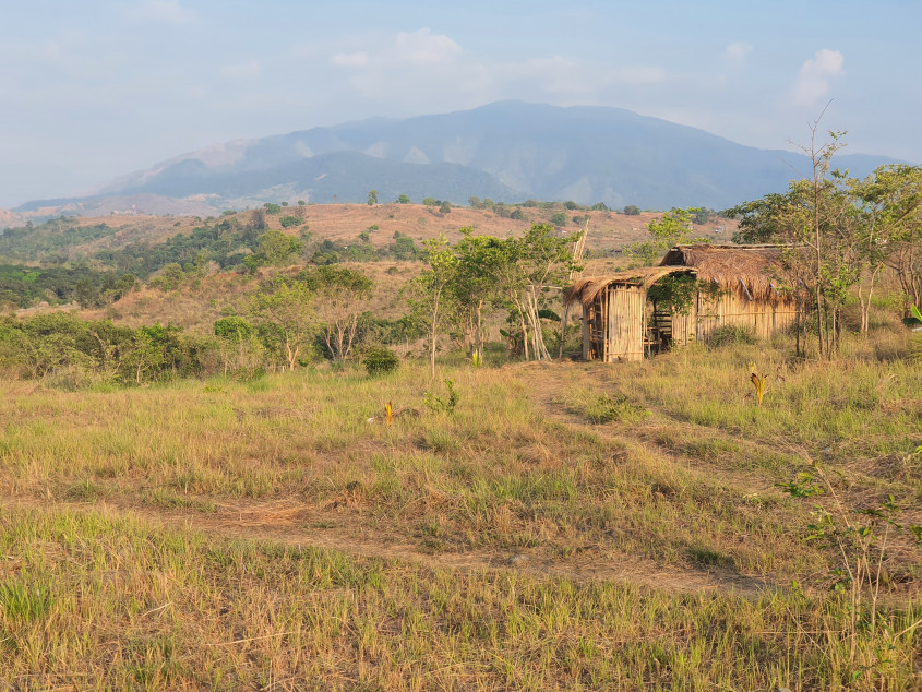 Subdivided Lot For Sale In Masiloc, Zambales