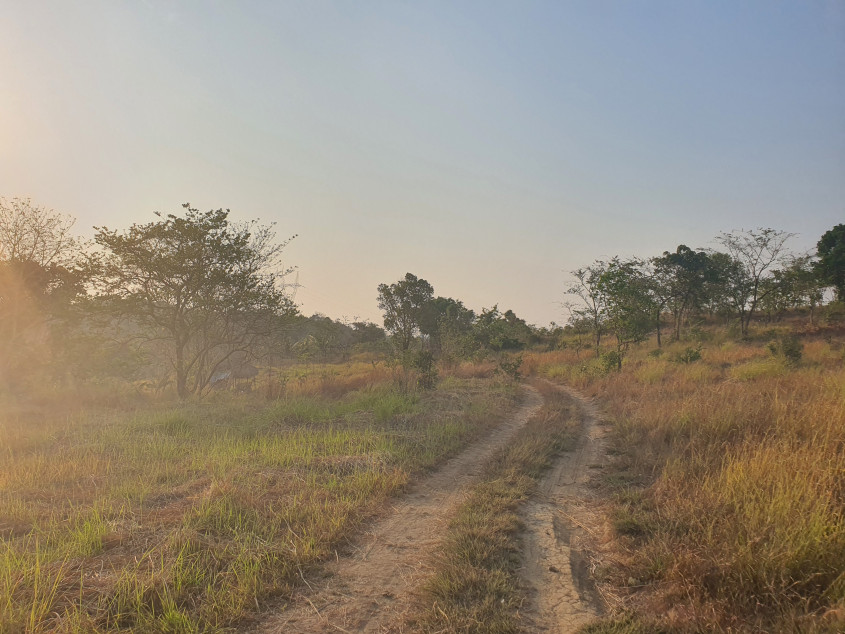 Subdivided Lot For Sale In Masiloc, Zambales