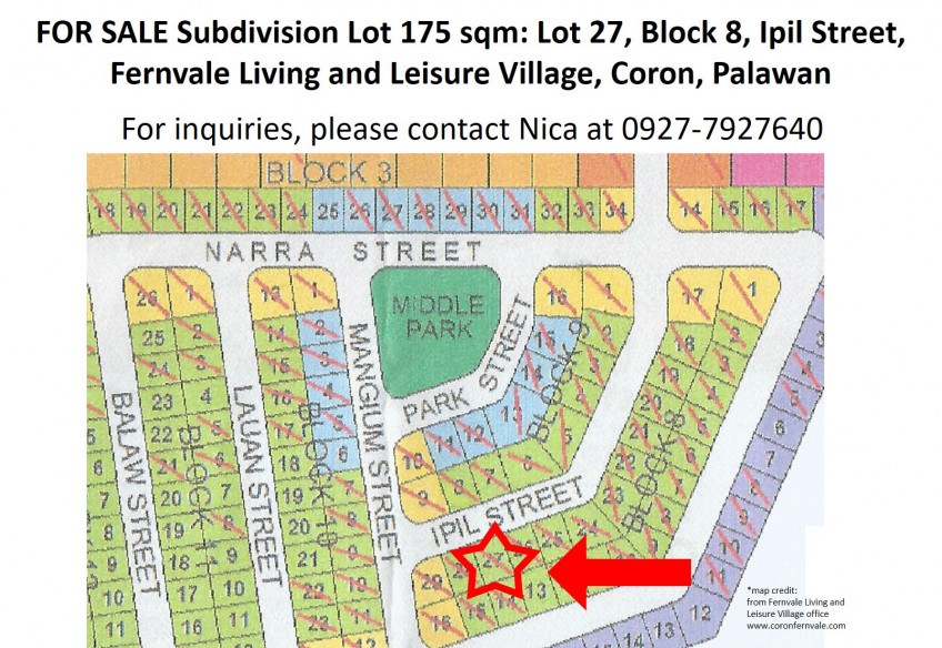 Titled Subdivision Lot For Sale In Coron, Palawan