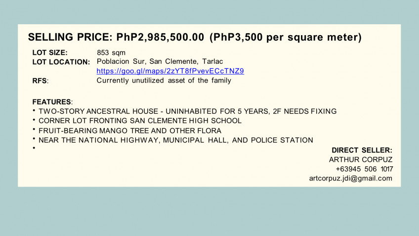 Corner Lot Fronting Town School In San Clemente, Tarlac