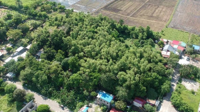 9,140 SQM Lot With Mt. Makiling View In Cabuyao, Laguna