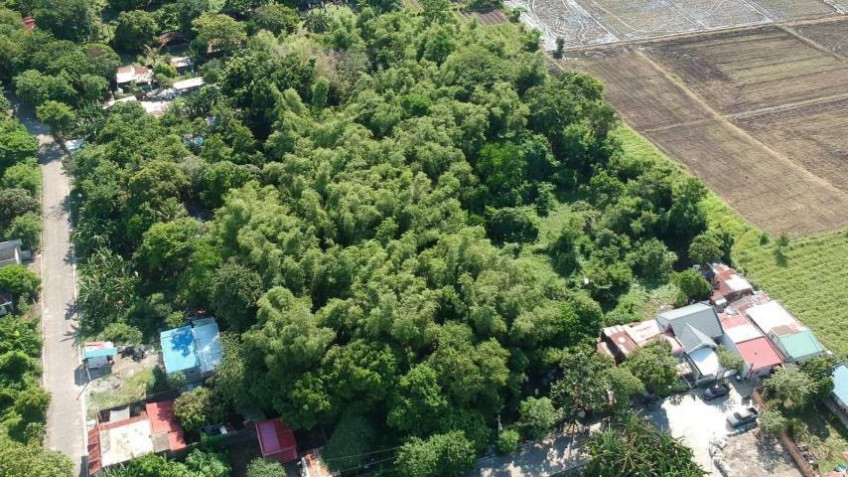 9,140 SQM Lot With Mt. Makiling View In Cabuyao, Laguna