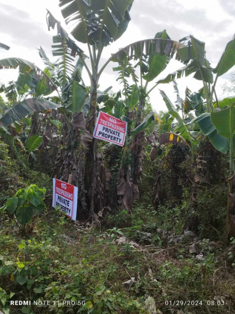 Lot For Sale In Bataan Suitable For Subdivision, Hospital, Hotel, Resort, Or Warehouse!