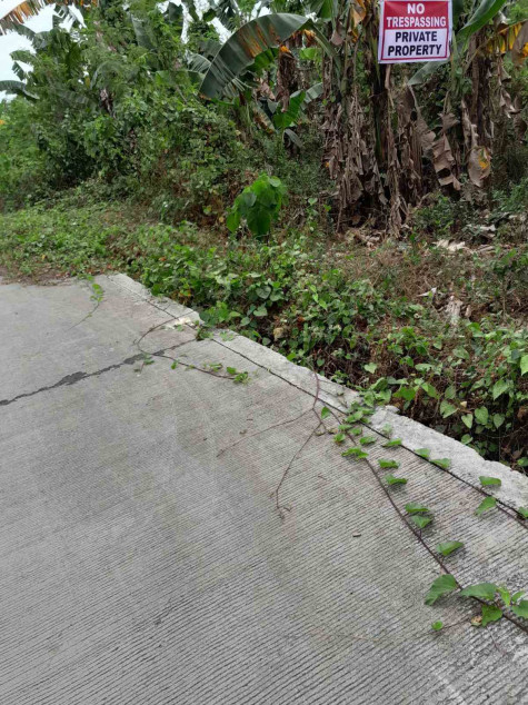 Lot For Sale In Bataan Suitable For Subdivision, Hospital, Hotel, Resort, Or Warehouse!