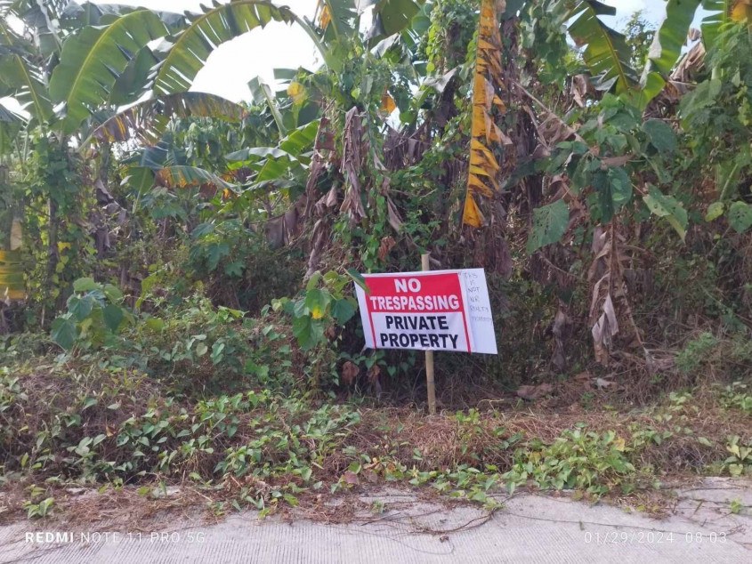 Lot For Sale In Bataan Suitable For Subdivision, Hospital, Hotel, Resort, Or Warehouse!