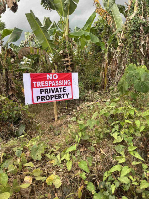 Lot For Sale In Bataan Suitable For Subdivision, Hospital, Hotel, Resort, Or Warehouse!