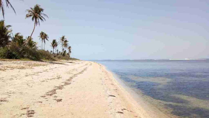 Beach Front Lot In Bolinao, Pangasinan