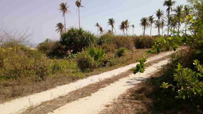Beach Front Lot In Bolinao, Pangasinan