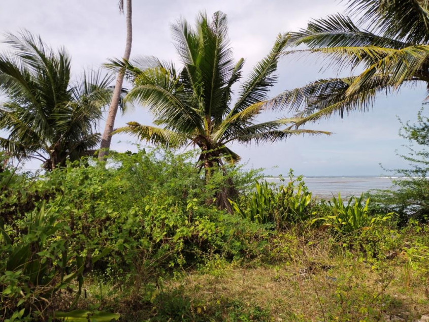 Beach Front Lot In Bolinao, Pangasinan