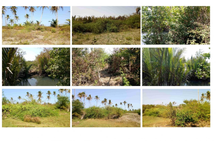 Beach Front Lot In Bolinao, Pangasinan