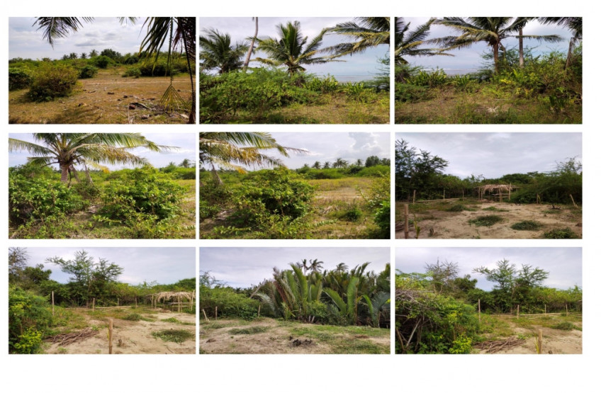 Beach Front Lot In Bolinao, Pangasinan
