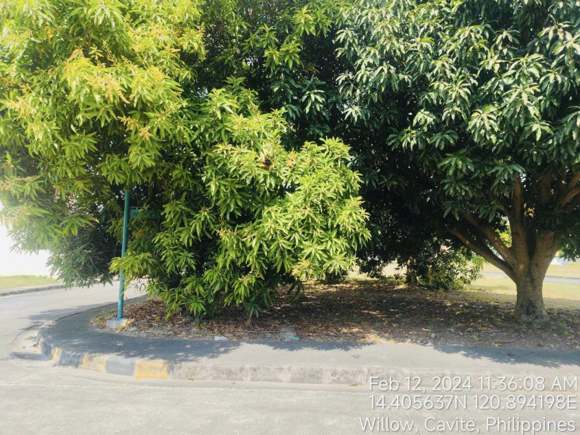 Residential Vacant Lot For Sale In Antel Grand Village General Trias, Cavite