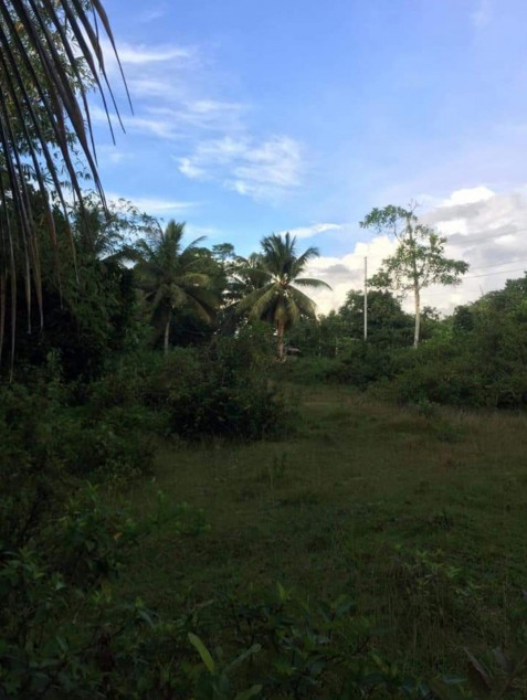 Agricultural/Industrial Land In Banga, Aklan For Sale