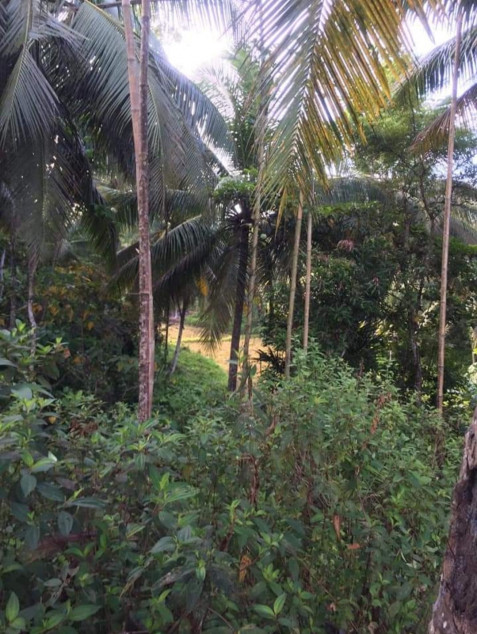 Agricultural/Industrial Land In Banga, Aklan For Sale