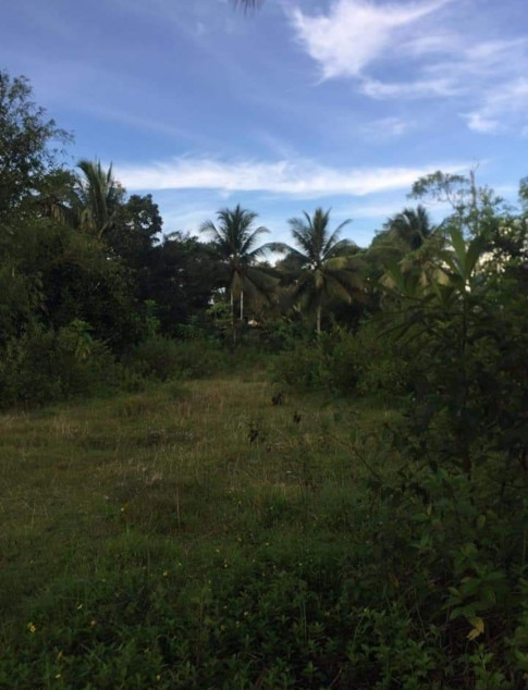 Agricultural/Industrial Land In Banga, Aklan For Sale