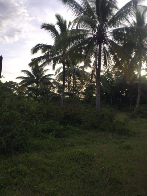 Agricultural/Industrial Land In Banga, Aklan For Sale