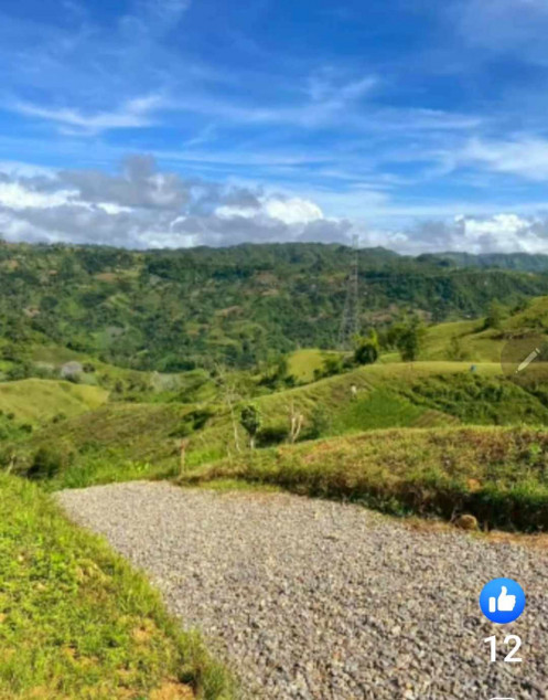 For Sale 1202  SQM Farm Lot In Busay Highland Farm Village In Sudlon, Cebu City