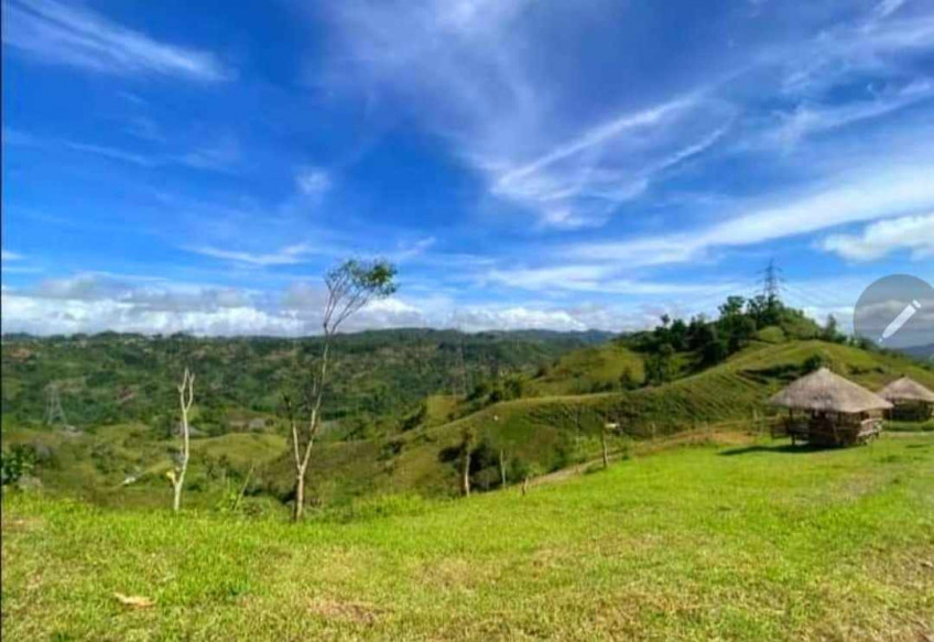 For Sale 1202  SQM Farm Lot In Busay Highland Farm Village In Sudlon, Cebu City