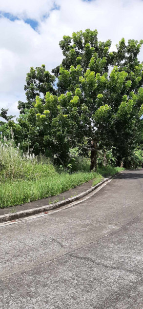 469 SQM Vacant Lot In A Prime Subdivision In Naga City Bicol Region