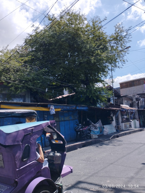 237 SQM Lot In Pinagbuhatan, Pasig Near Barangay Hall