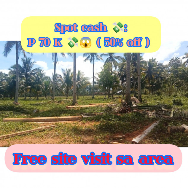 Affordable Lot for Sale / Installment In Compostela Valley