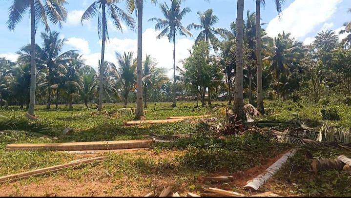 Affordable Lot for Sale / Installment In Compostela Valley