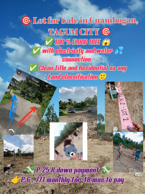 Lot For Sale In Tagum, Davao Del Norte 100% Flood Free