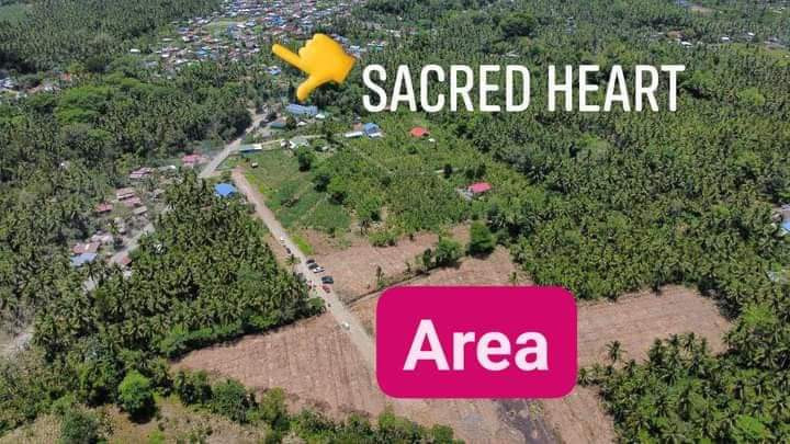 Lot For Sale In Tagum, Davao Del Norte 100% Flood Free