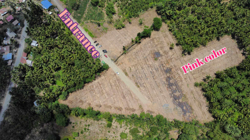 Lot For Sale In Tagum, Davao Del Norte 100% Flood Free