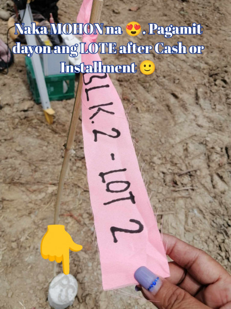 Lot For Sale In Tagum, Davao Del Norte 100% Flood Free