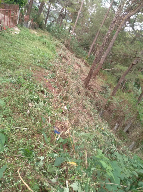 300 SQM Adiwang Road Tello St. Dontogan Baguio City