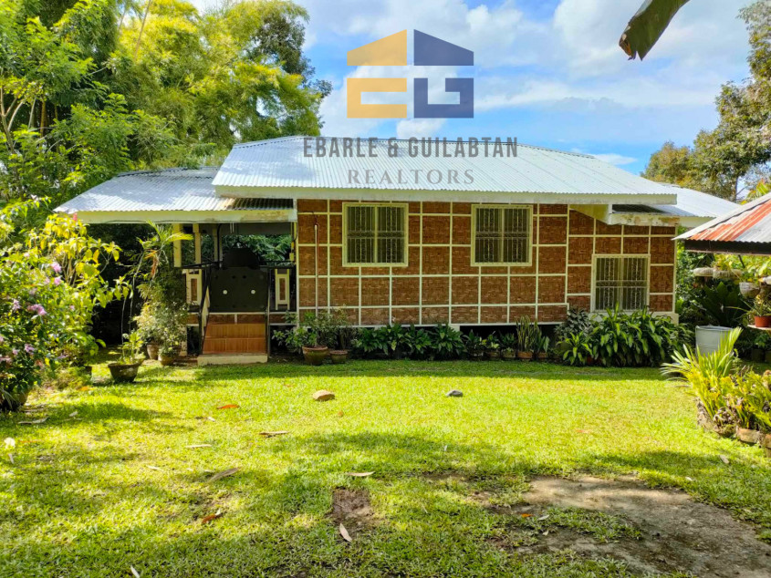 Farm Lot In Davao City For Sale