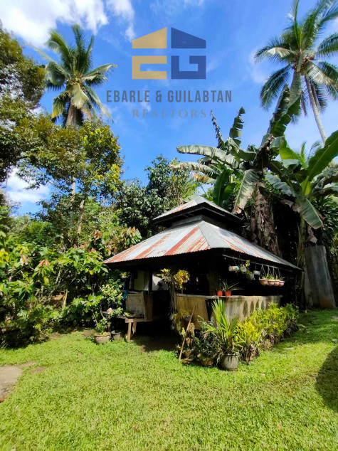 Farm Lot In Davao City For Sale