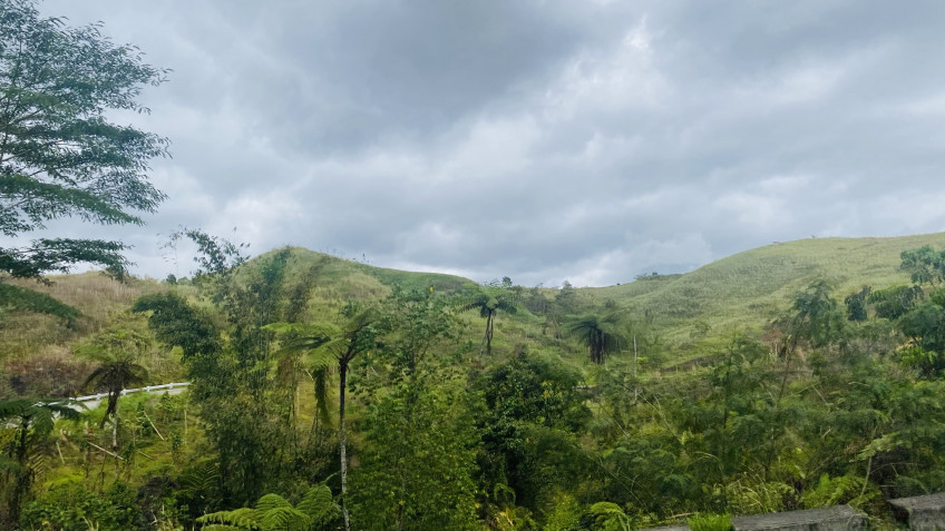 Farm Eco Resort For Sale In Talakag, Bukidnon