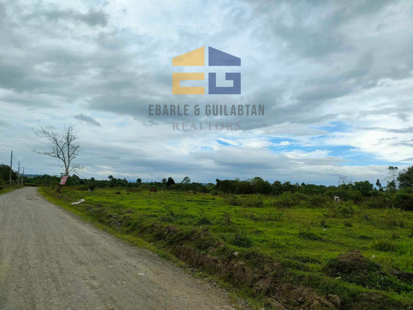 398,783 SQM Lot For Sale In Davao City