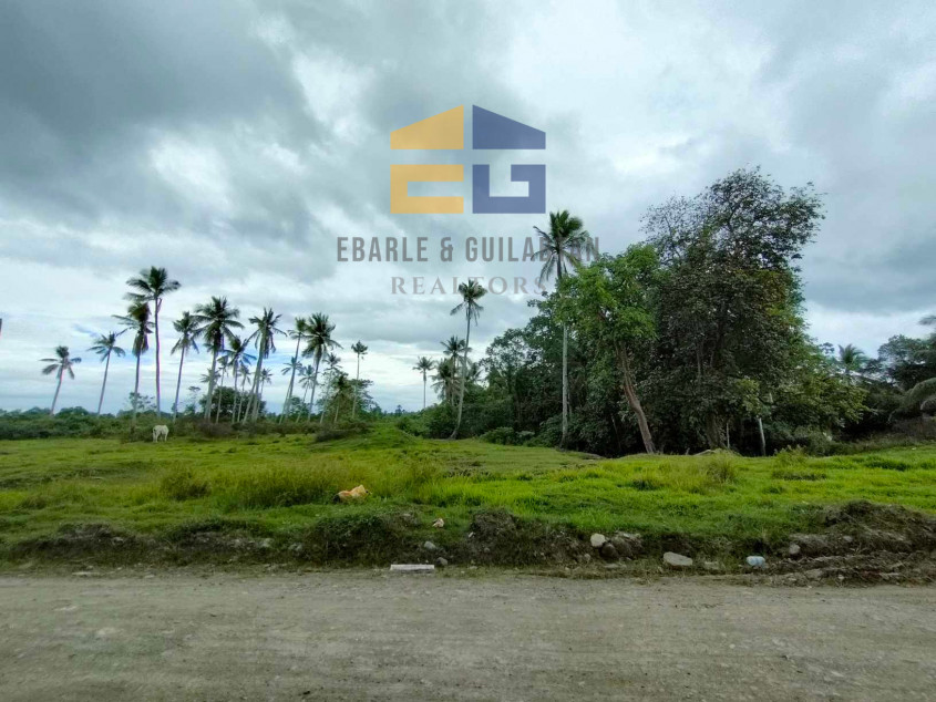 398,783 SQM Lot For Sale In Davao City