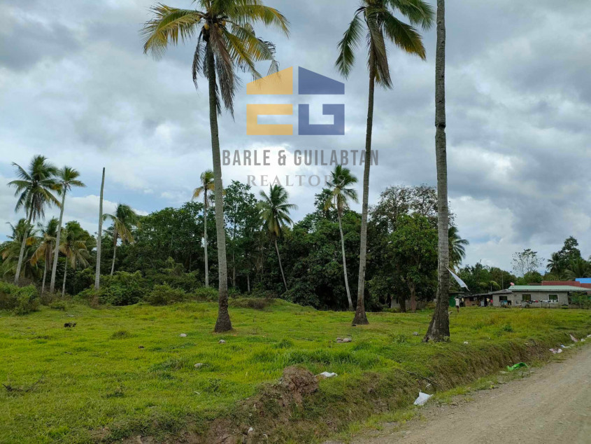 398,783 SQM Lot For Sale In Davao City