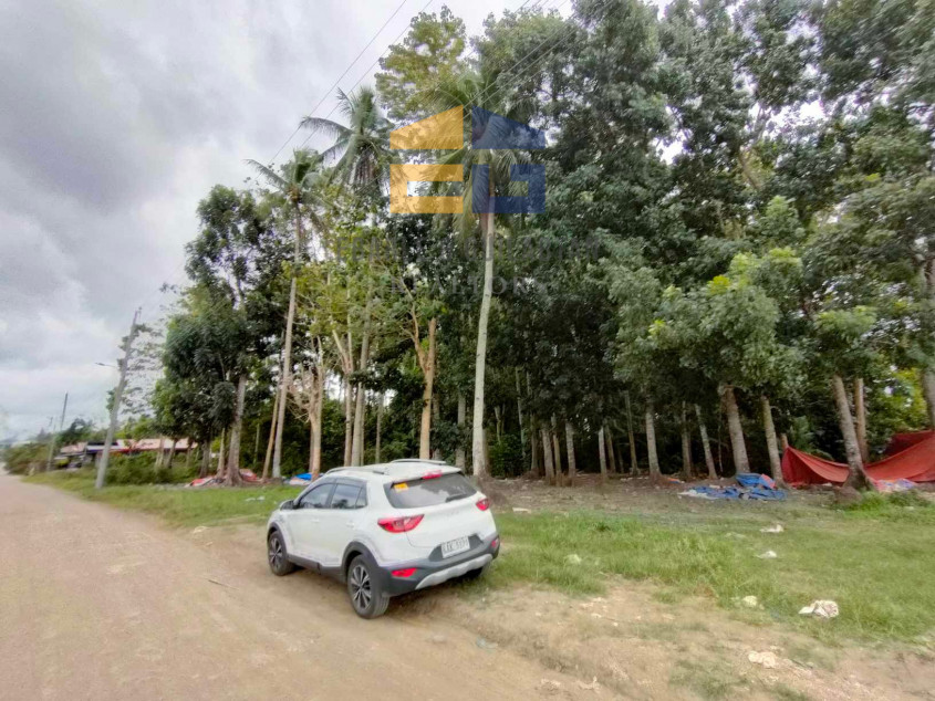 398,783 SQM Lot For Sale In Davao City