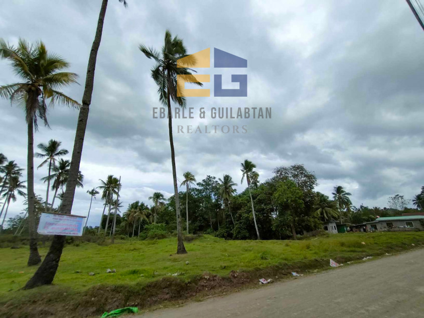 398,783 SQM Lot For Sale In Davao City