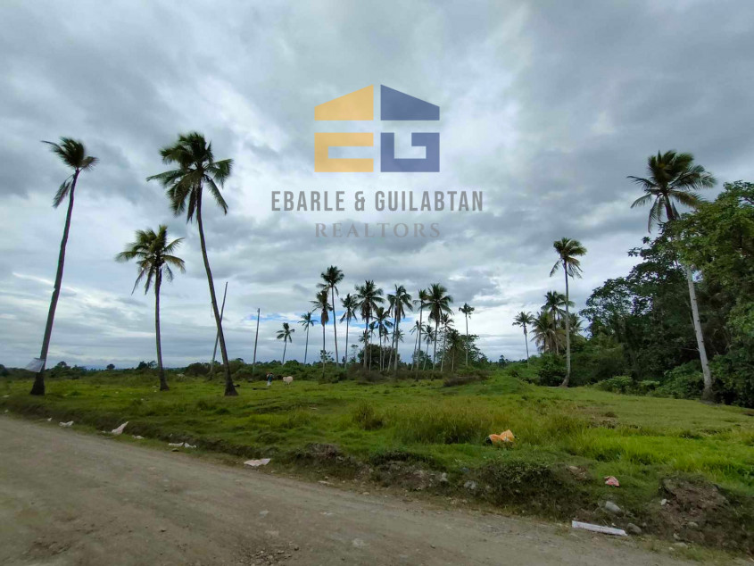 398,783 SQM Lot For Sale In Davao City