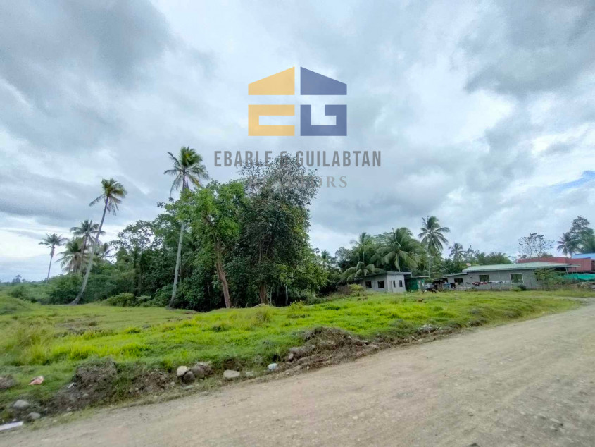 398,783 SQM Lot For Sale In Davao City