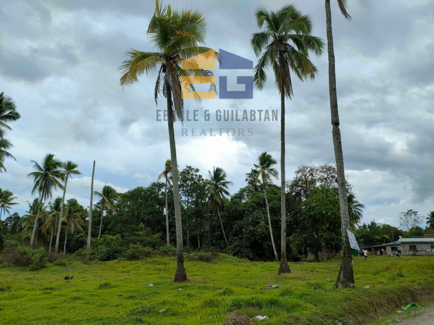 398,783 SQM Lot For Sale In Davao City