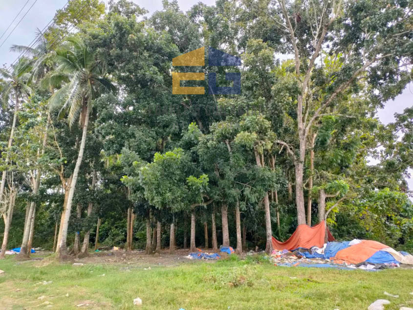 398,783 SQM Lot For Sale In Davao City