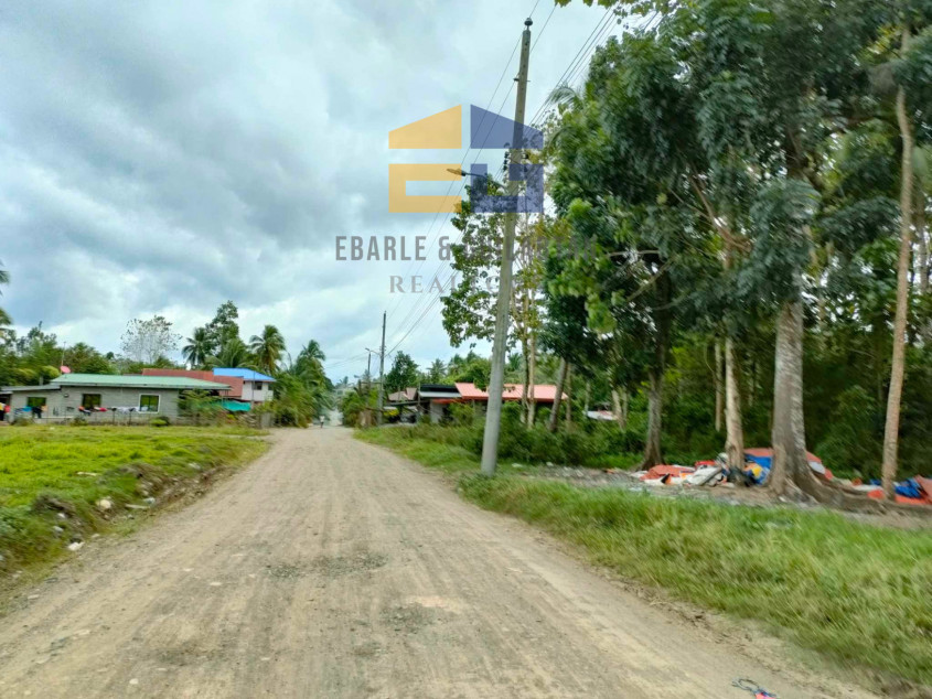 398,783 SQM Lot For Sale In Davao City