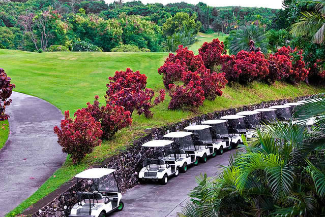 Lot For Sale: 599 SQM With Golf Course Share At Alta Vista Pardo Cebu City